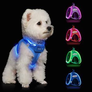 Feycig LED Light Up Dog Harness, Fluorescent Blue, Small, USB Rechargeable